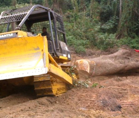 Shantui SD22F  bulldozer works in forest for wood dozing and logging in Argentina. Shantui SD22F is a kind of machine that super adaptable to forest work condition. It has ROPS and FOPS function to protect operator and can be equipped with winch for logging. The powerful engine makes it able to deal with heavy duty work in the forest.