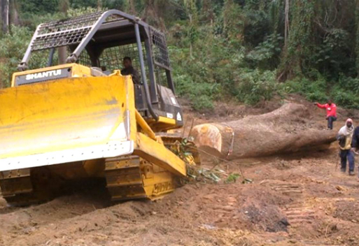 Shantui SD22F  bulldozer works in forest for wood dozing and logging in Argentina. Shantui SD22F is a kind of machine that super adaptable to forest work condition. It has ROPS and FOPS function to protect operator and can be equipped with winch for logging. The powerful engine makes it able to deal with heavy duty work in the forest.